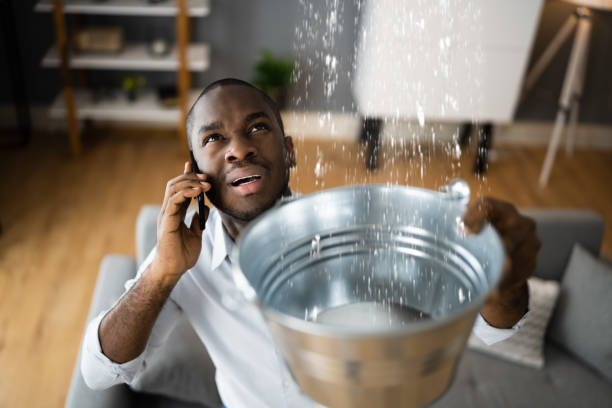 Reliable Webster, TX Water damage restoration Solutions