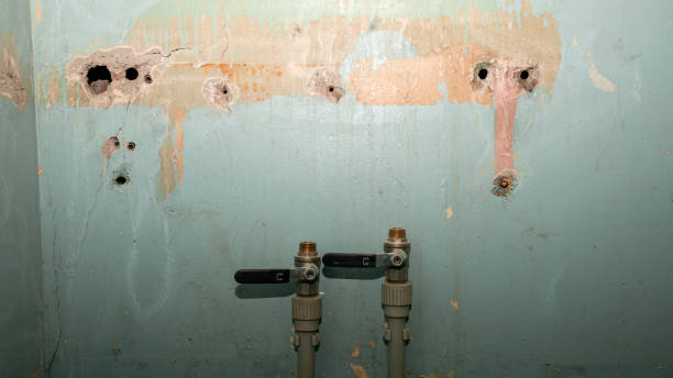 Best Local water damage restoration  in Webster, TX