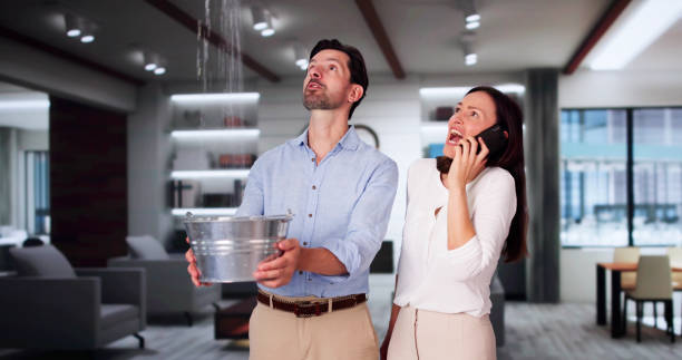 Best Basement water damage restoration  in Webster, TX