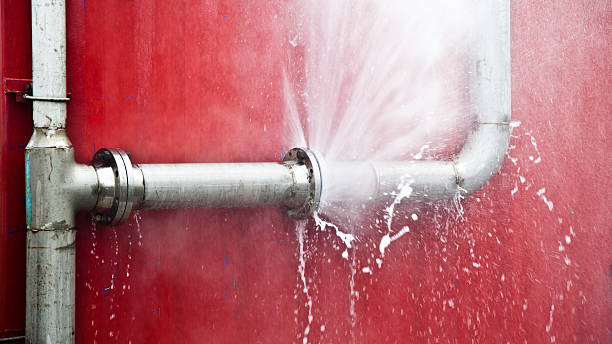 Best Water damage restoration near me  in Webster, TX